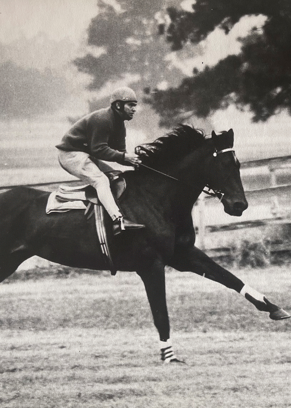 Crisp andSir Chester